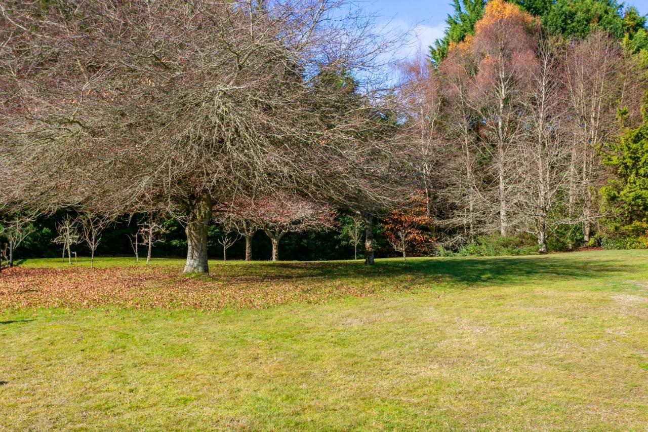 Lupin Lodge Bed & Breakfast Lac Lac Taupo Extérieur photo